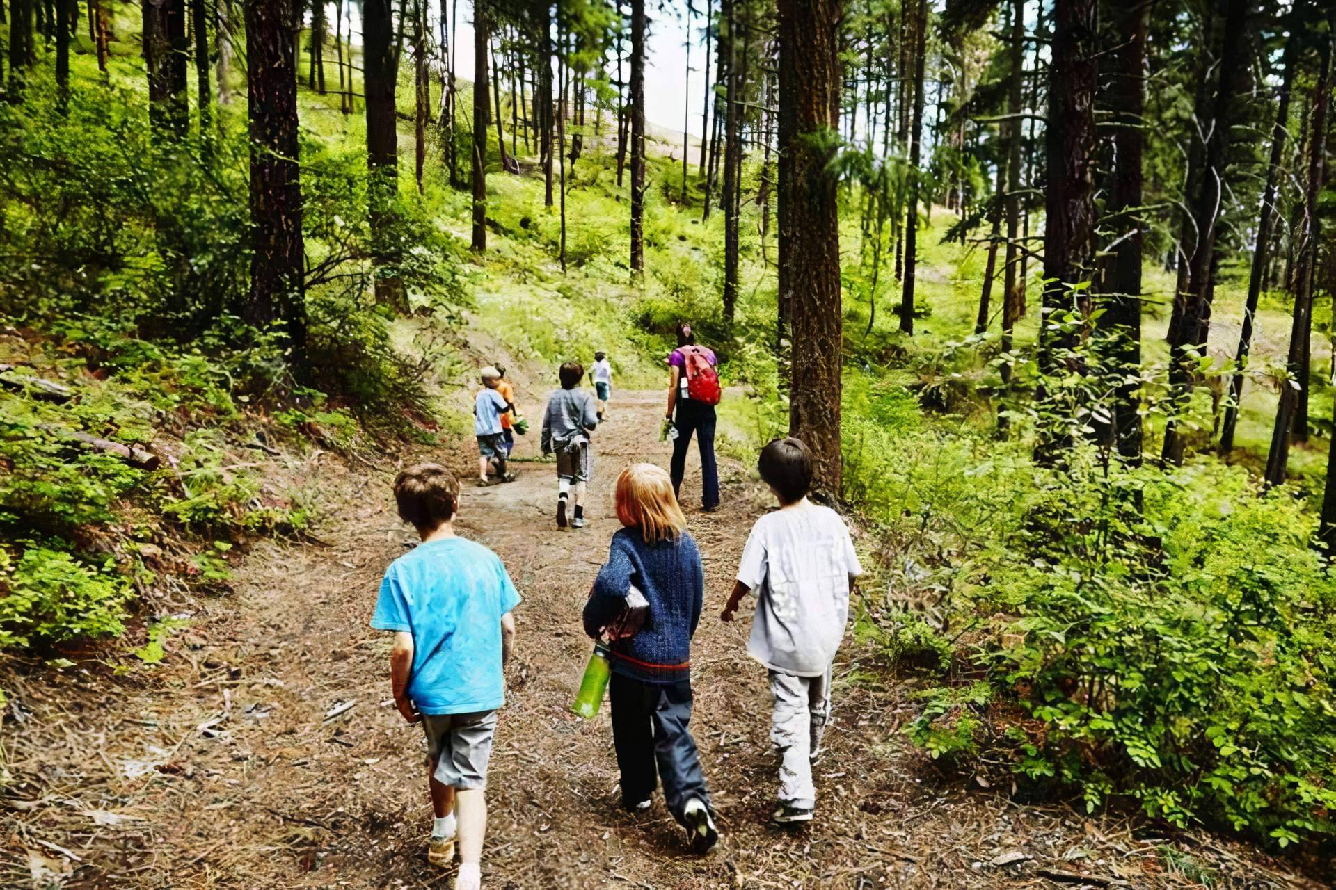 Aprendizaje y diversión garantizados en el campamento de verano Cuenca Destination de la mano de English Tutorial Center