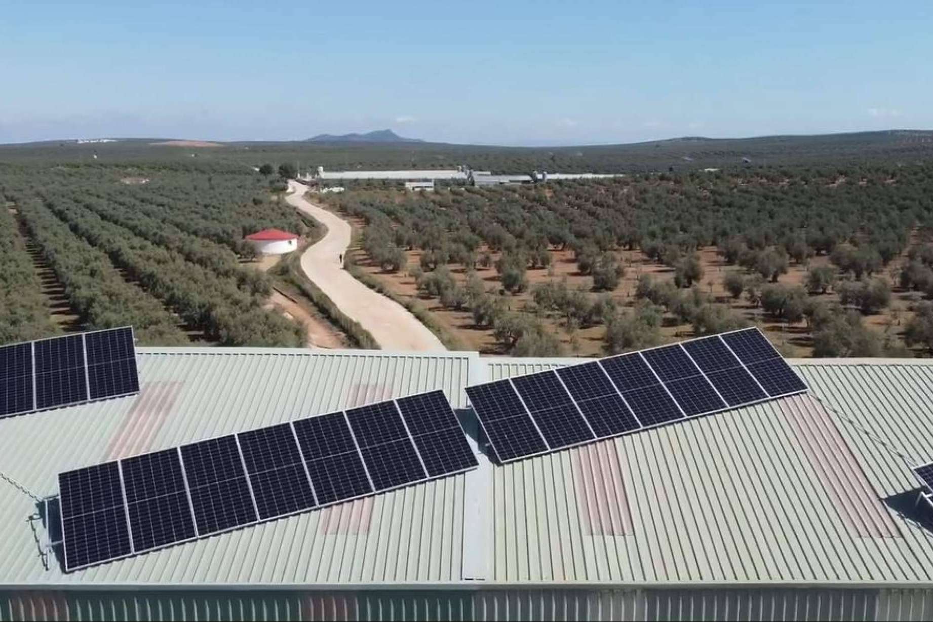 Energía de autoconsumo en empresas y sus beneficios de la mano de TodoAgrícola