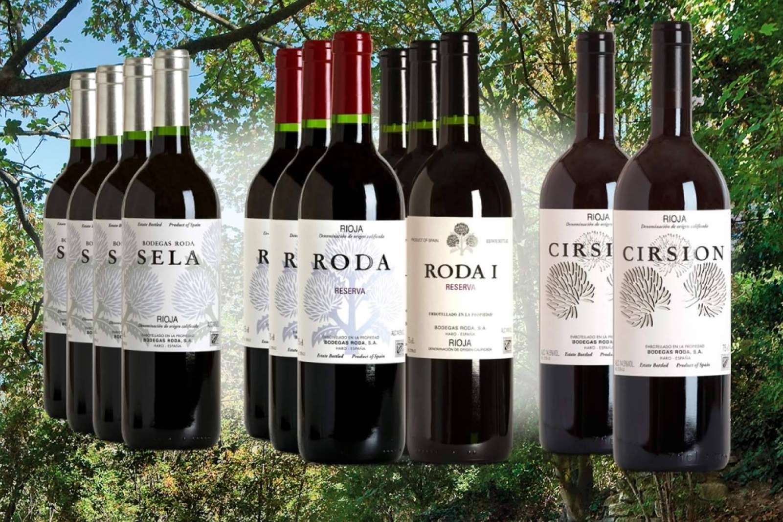Una buena forma de descubrir diferentes vinos de selección de cada bodega con los packs de 12 botellas de ILOVEWINE