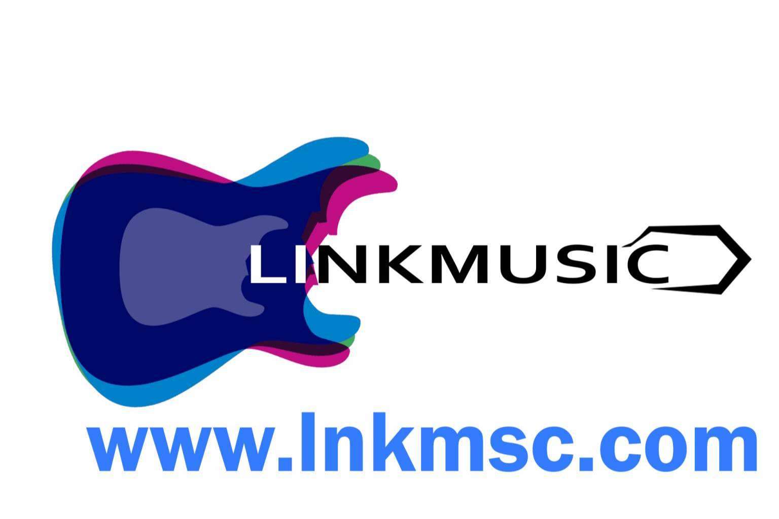Información sobre el sistema de oportunidades de LinkMusic