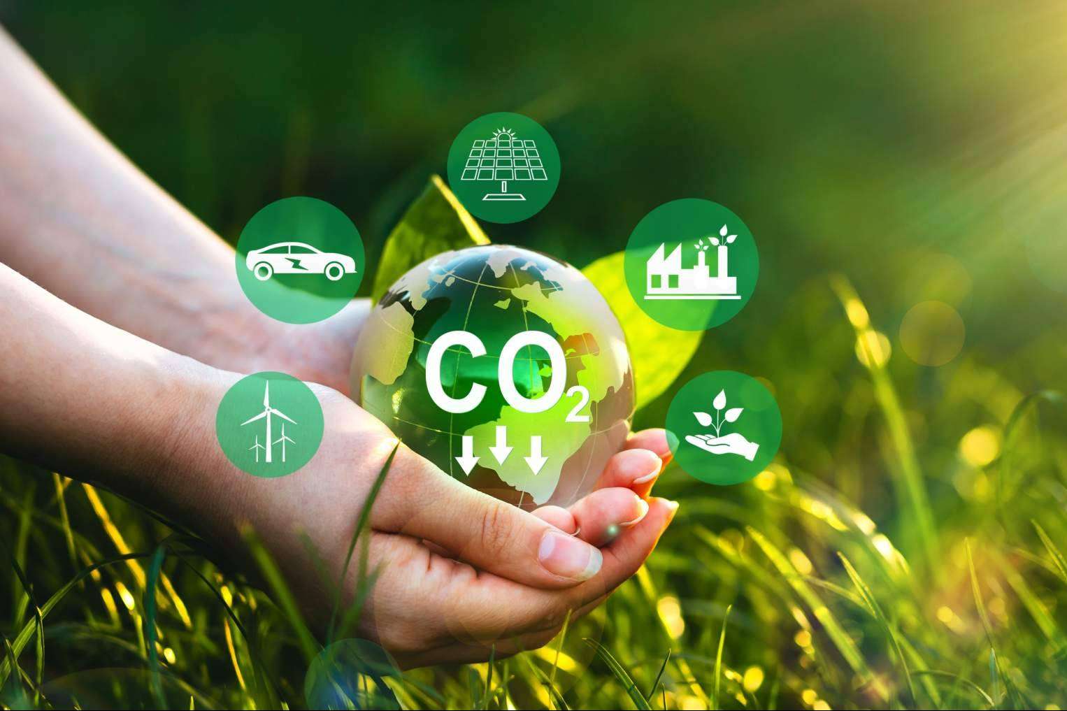 Compensar la huella de carbono con empresas como ClimateTrade