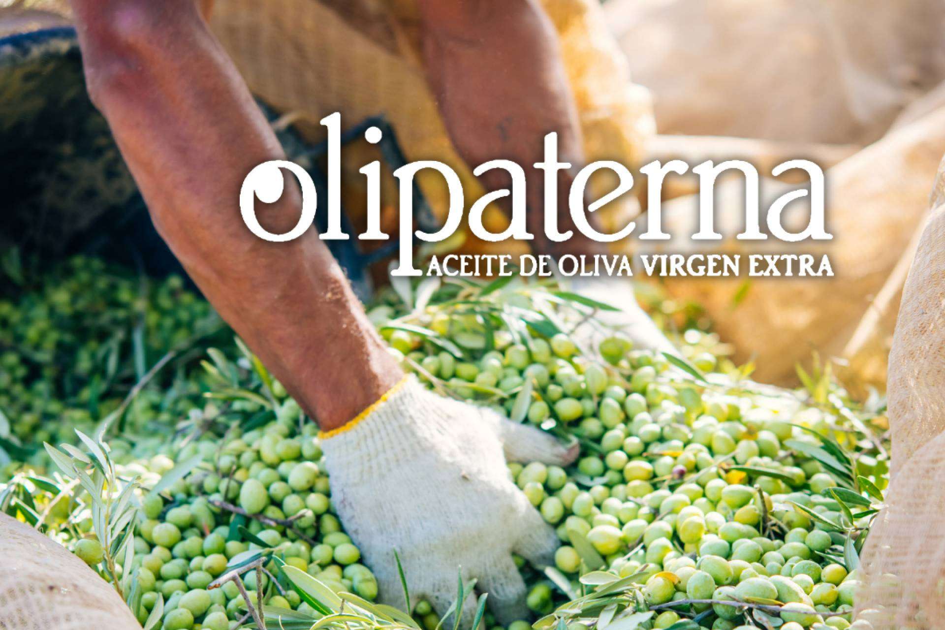 Las diferencias entre el AOVE y el aceite de oliva virgen, por Olipaterna