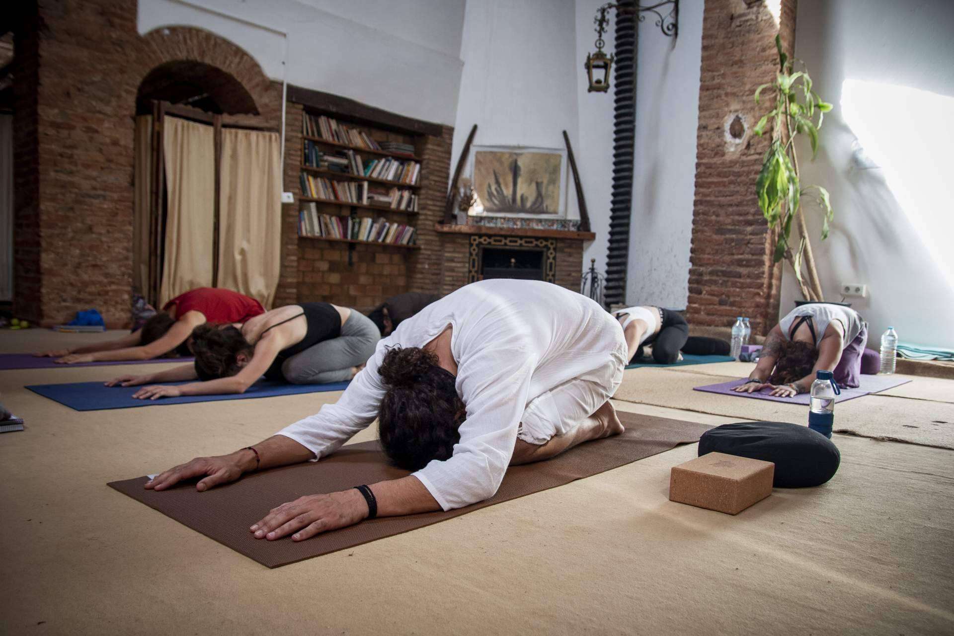 Hatha Tradicional, formación intensiva de Yoga y Meditación con ofertas limitadas para julio y agosto de 2022