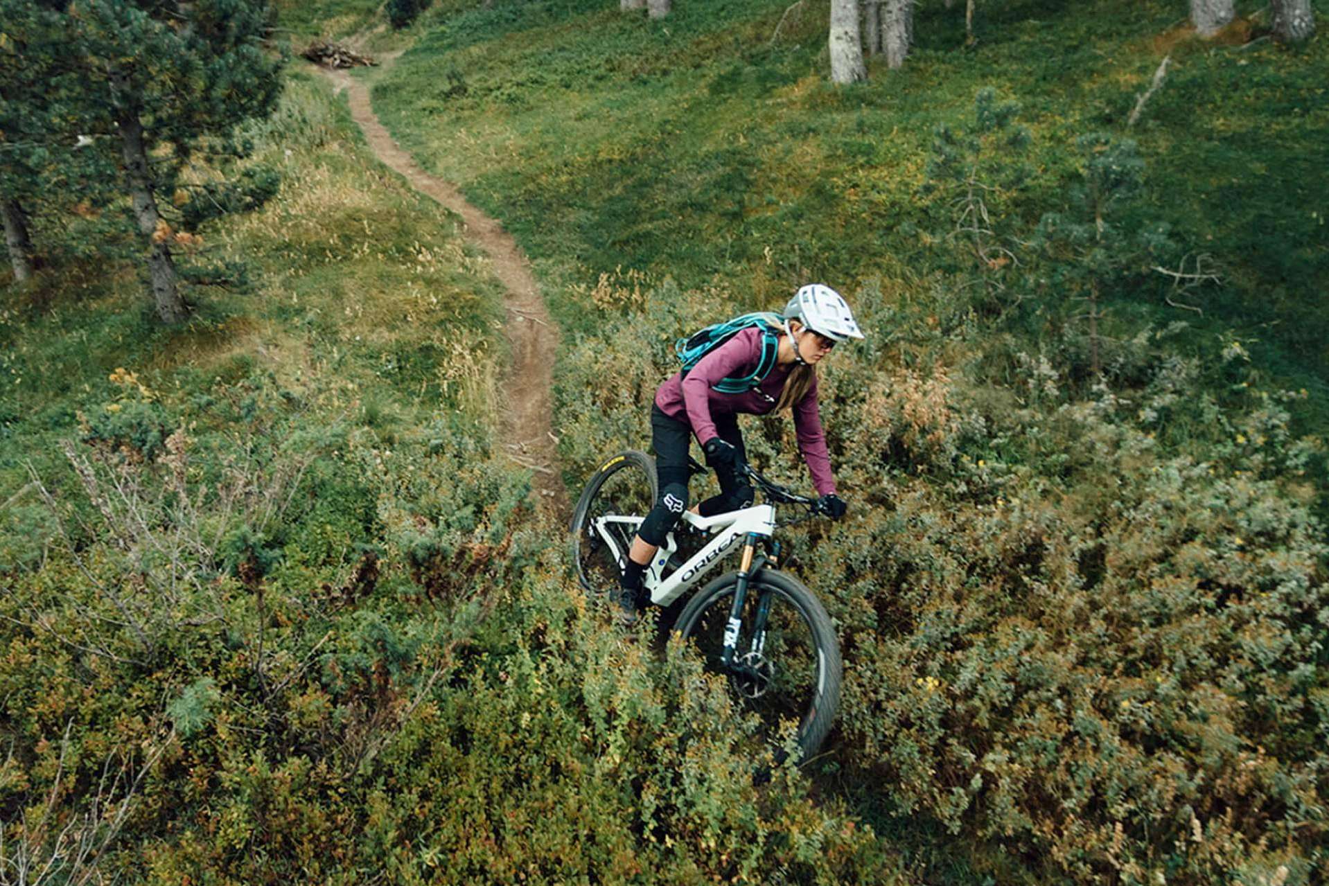 Los diferentes tipos de bicicletas eléctricas de montaña en Sanferbike