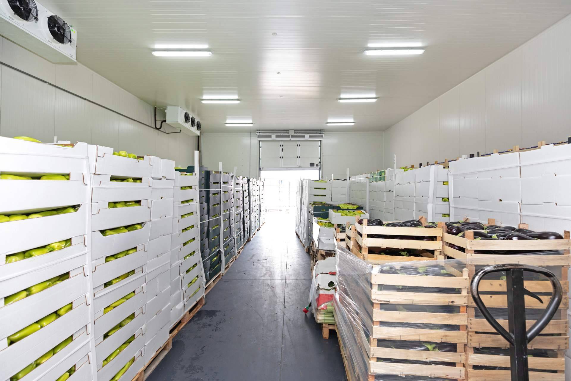 Conservación de productos con frío industrial, por Grupo Alisios