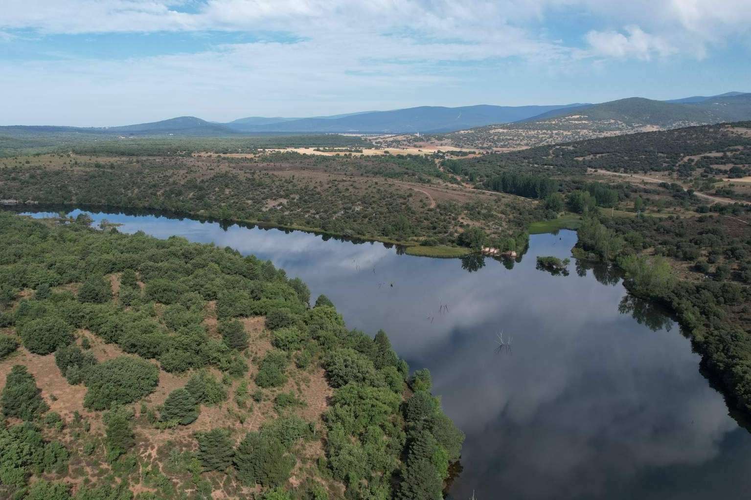 La importancia de la creación de bosques para la absorción del CO2