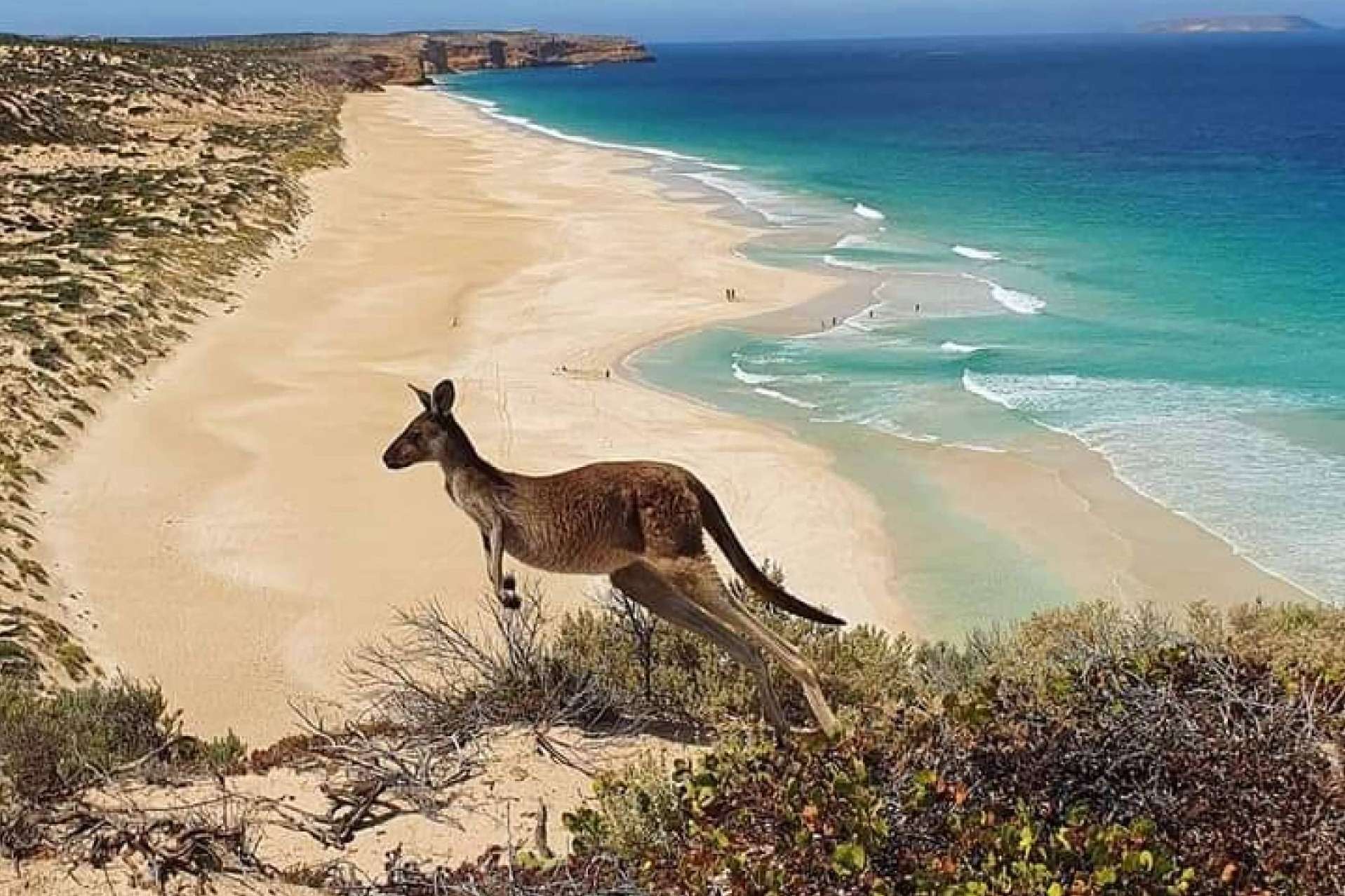 ¿Qué se necesita para estudiar en Australia?