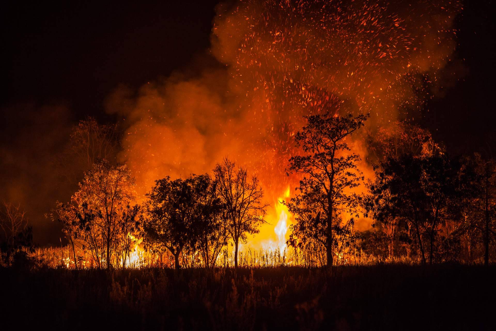 #SoydeMijas plantea soluciones para prevenir los incendios forestales en Mijas