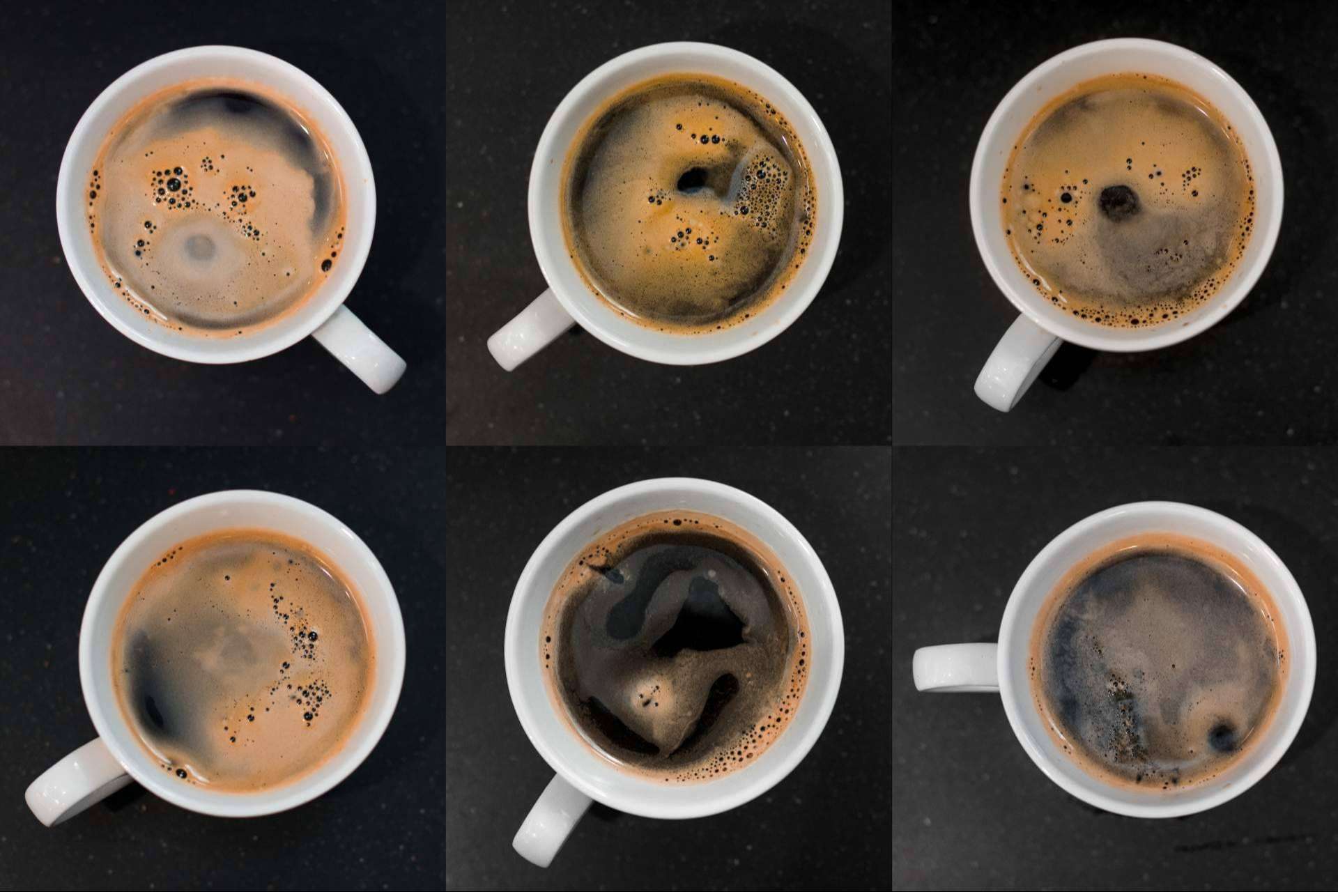 Vivir una experiencia con aroma a café, de la mano de Cafés 1984