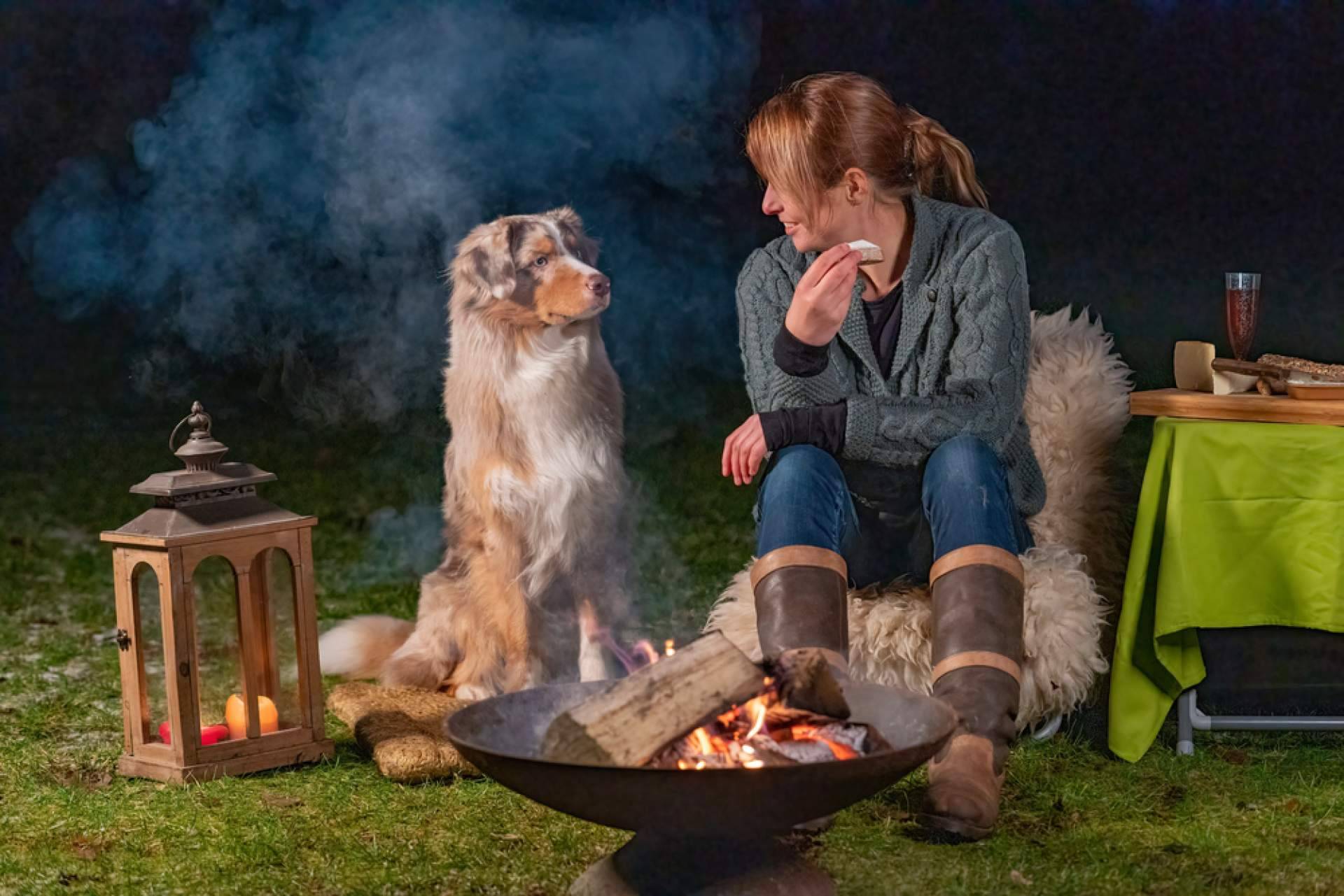 ¿Cuáles son las diferencias entre adoptar y comprar perros?, con Cachorros del Valle