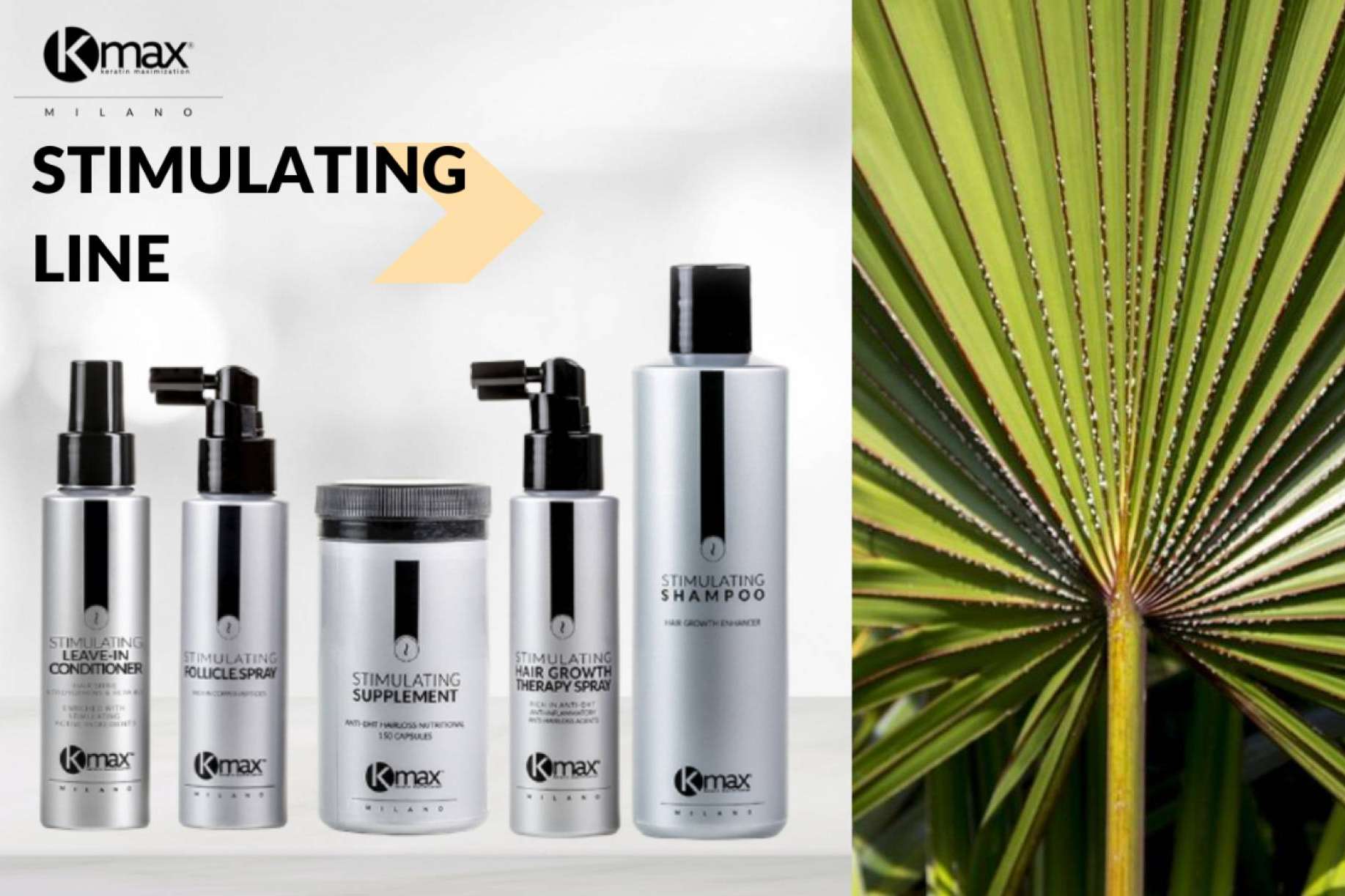 Kmax ofrece productos anticaída que incorporan Serenoa repens