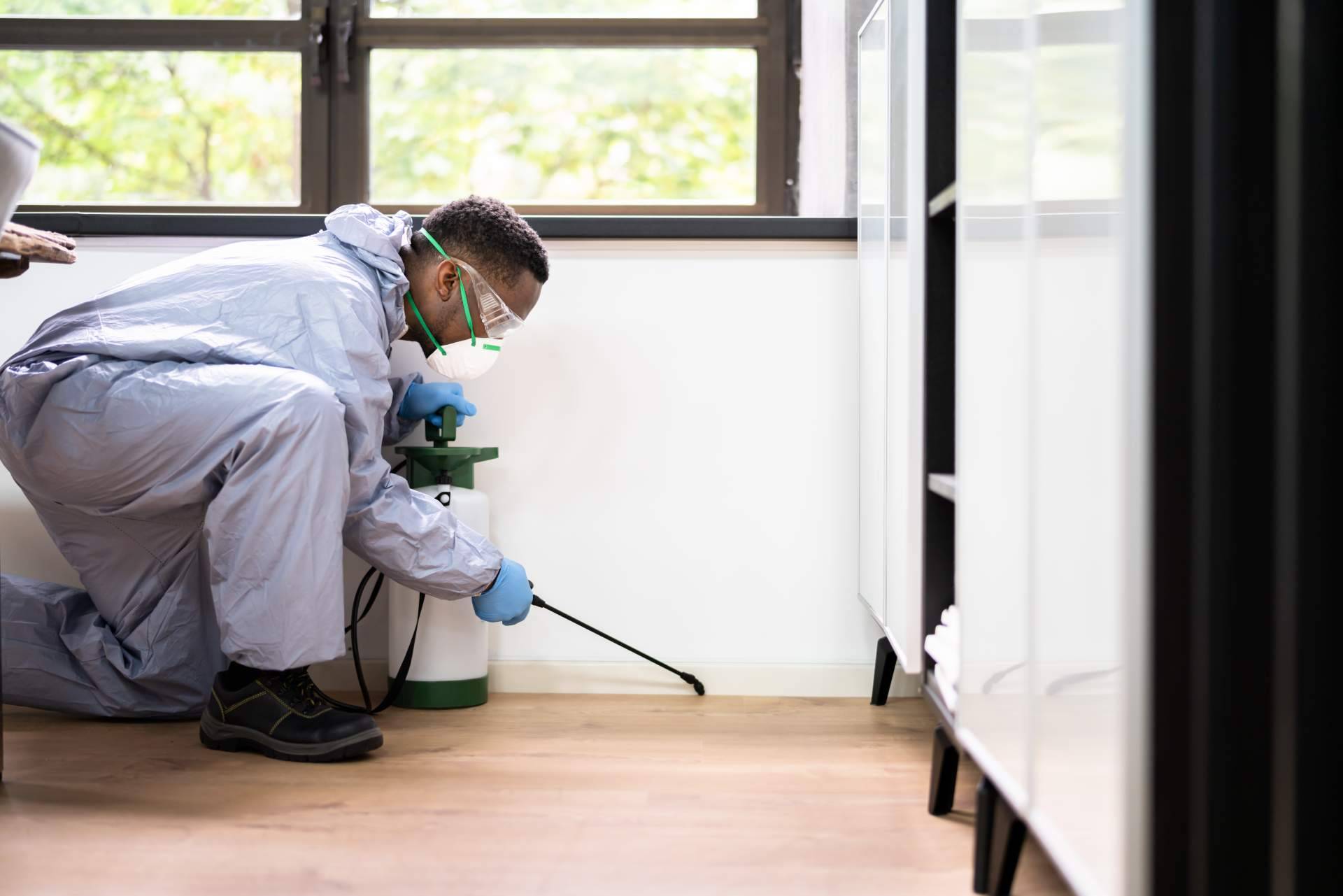 La importancia de la fumigación de cucarachas y la eliminación de hormigas