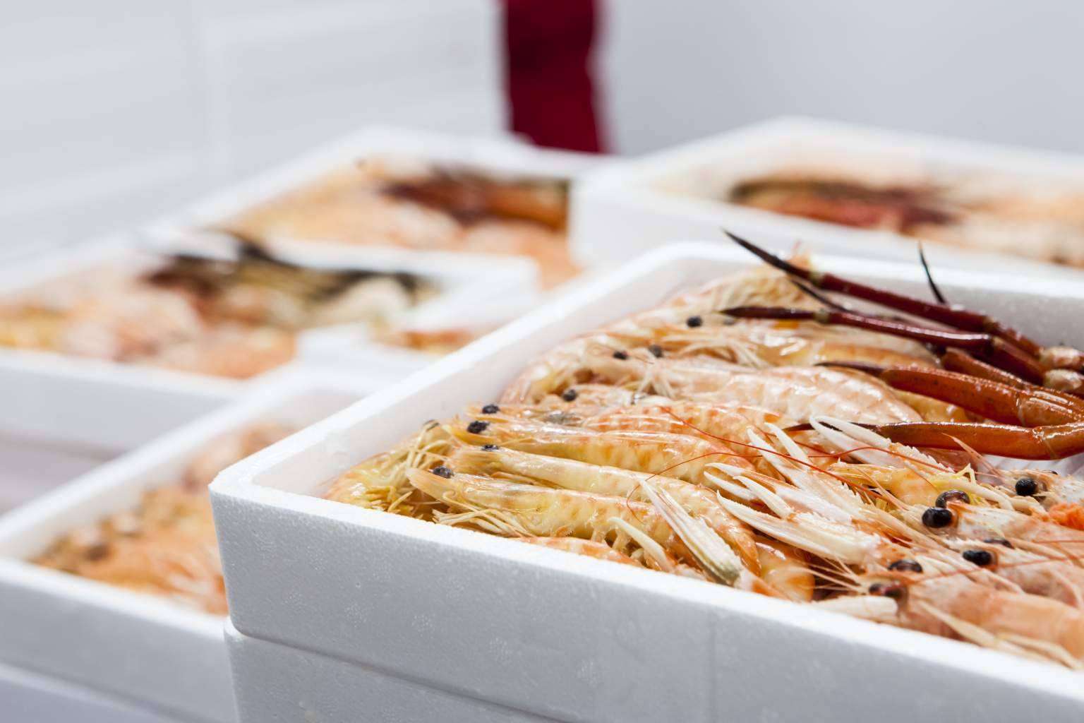 Importaciones de marisco congelado y pescado de calidad con Mariscos Apolo