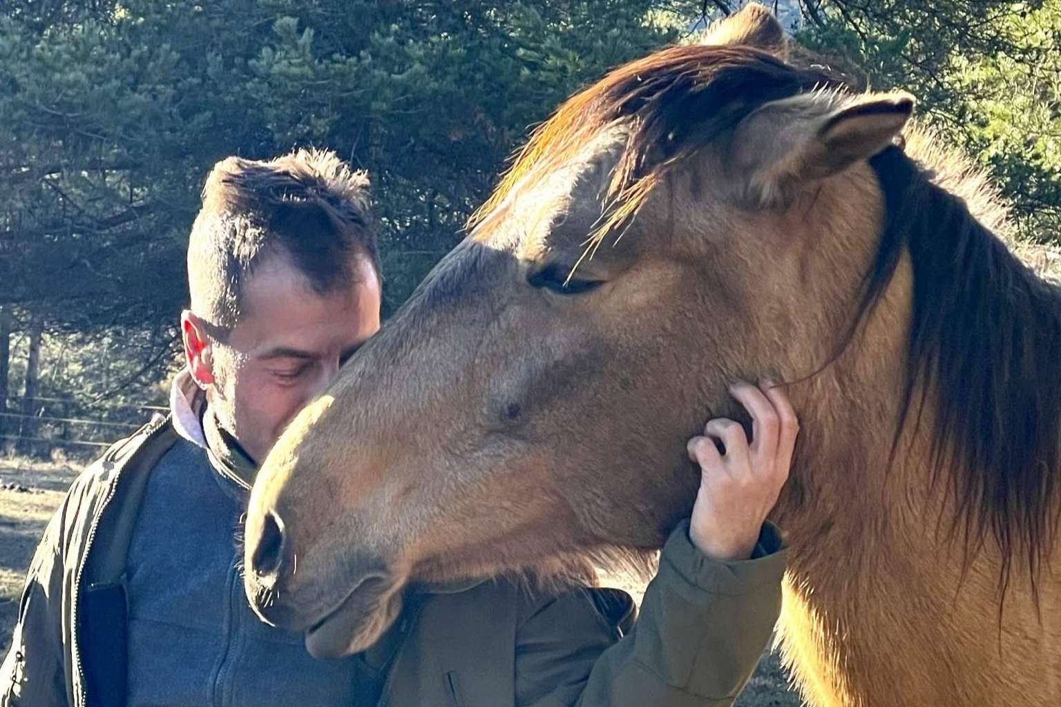 Desarrollar la inteligencia emocional gracias a los beneficios de los caballos libres
