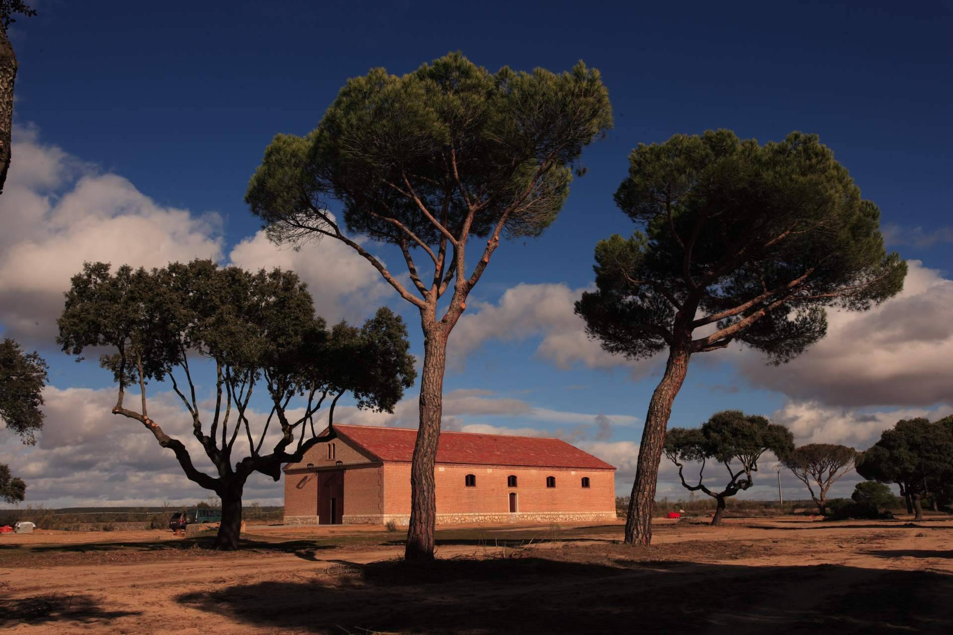 Barcolobo, los 5 vinos de reserva natural que no pueden faltar en la mesa