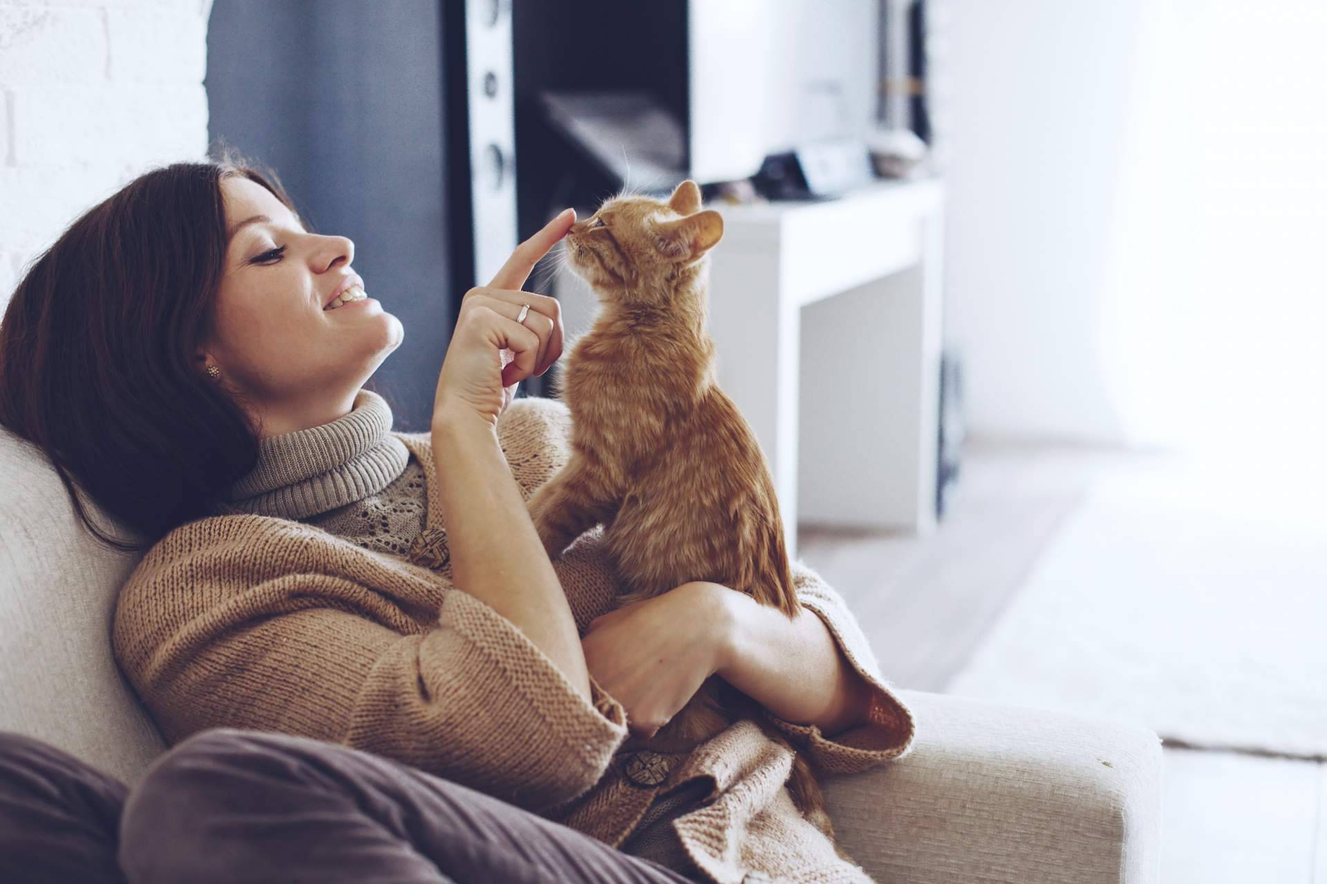 Comprender el comportamiento de los gatos para tener una mejor convivencia con ellos