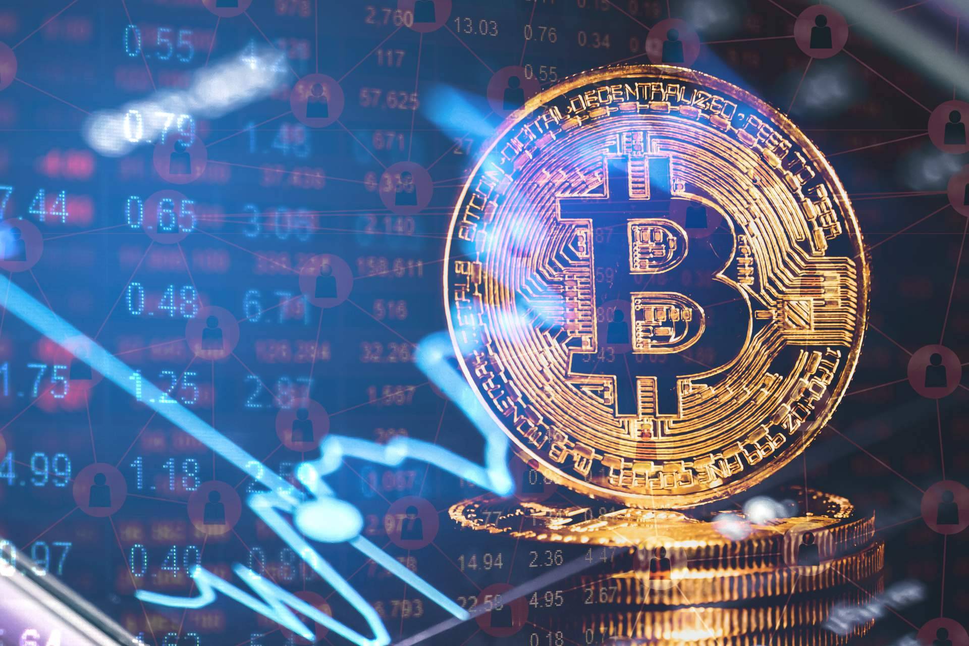 Por qué es importante asesorarse en temas relacionados con las criptomonedas