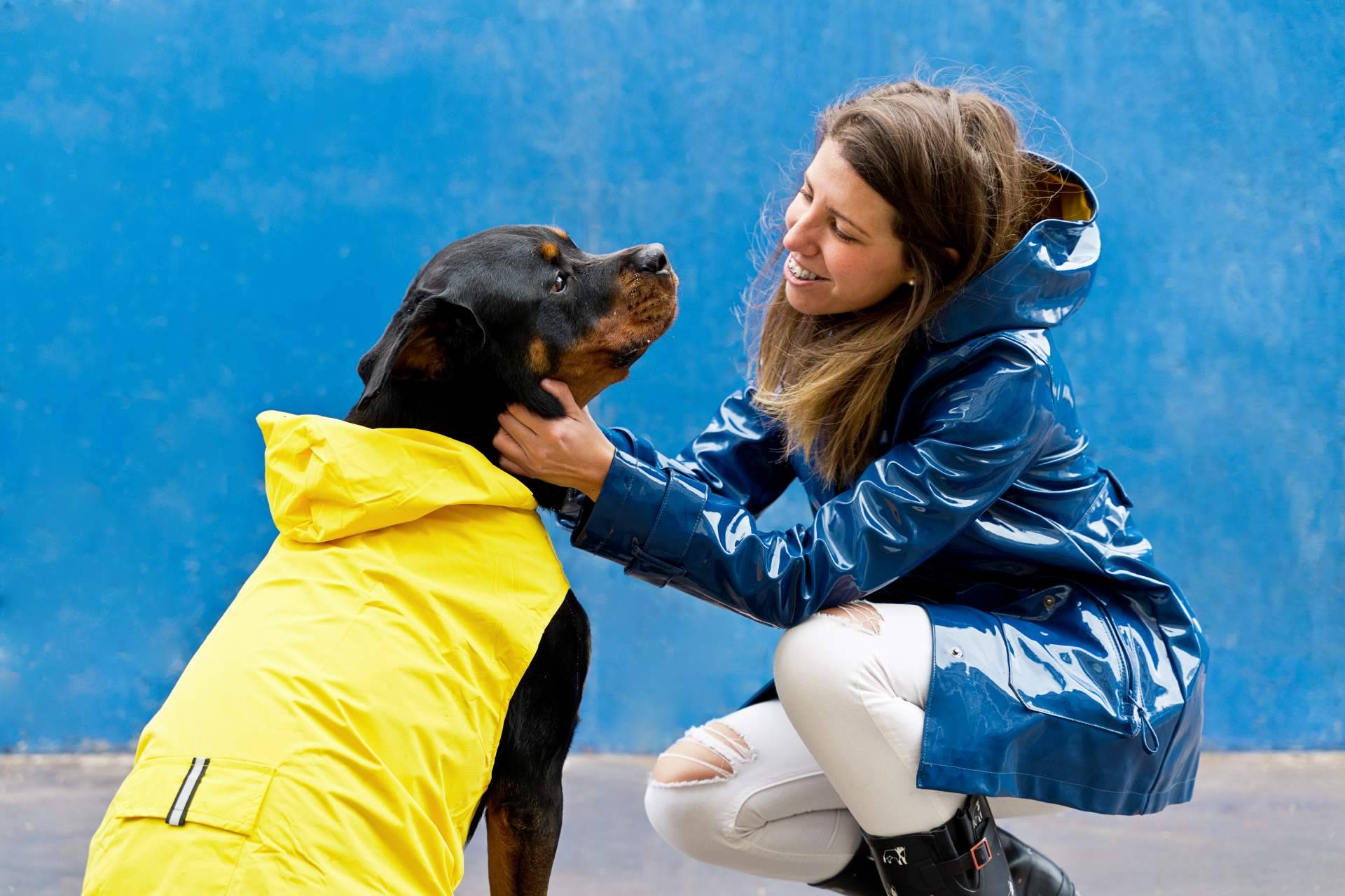El certificado psicotécnico para la tenencia de animales peligrosos en Madrid, por Centro Médico Attendit