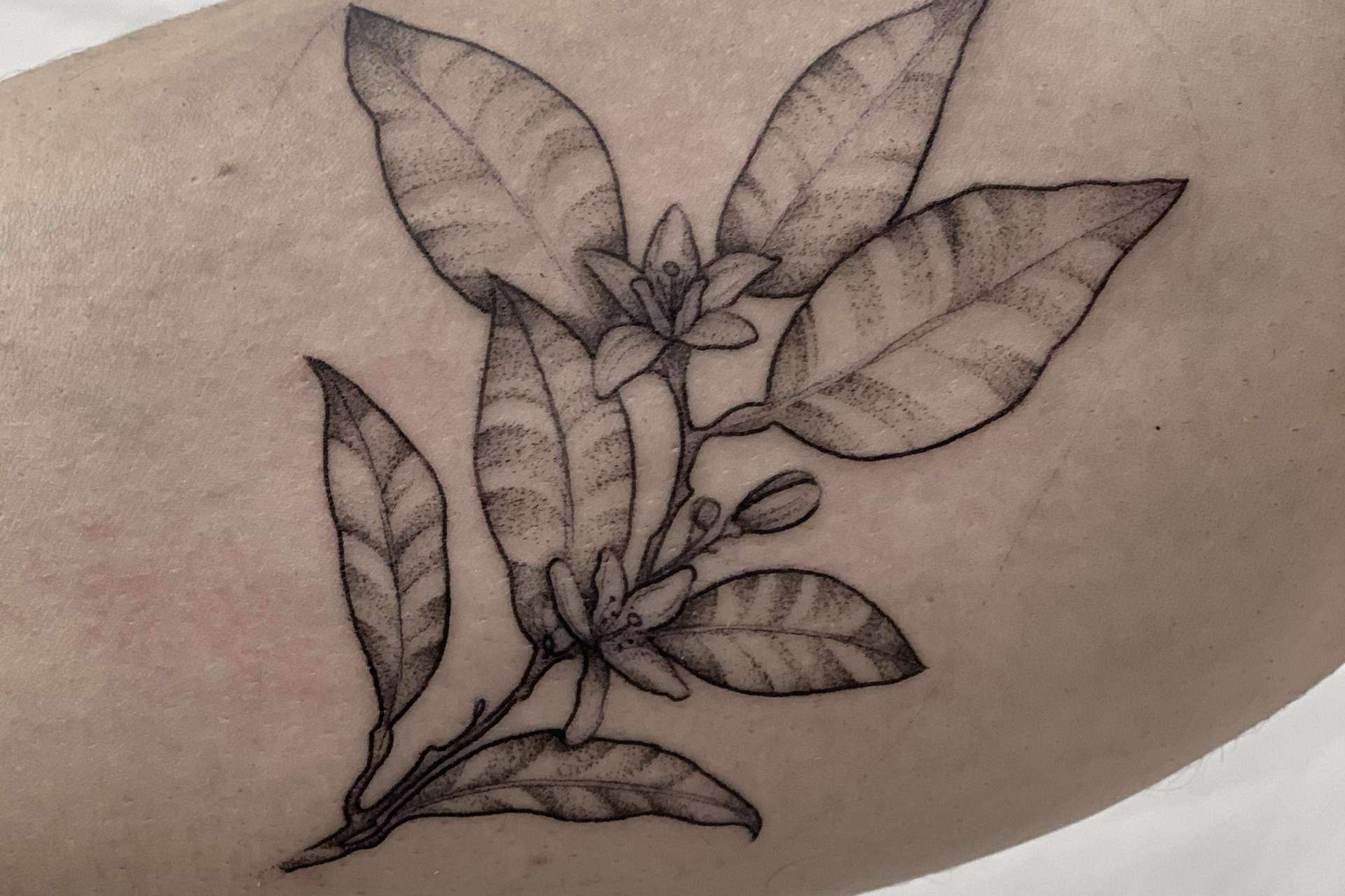 La tendencia de los tatuajes a línea fina, disponible en el estudio de Vieja Escuela Tattoo