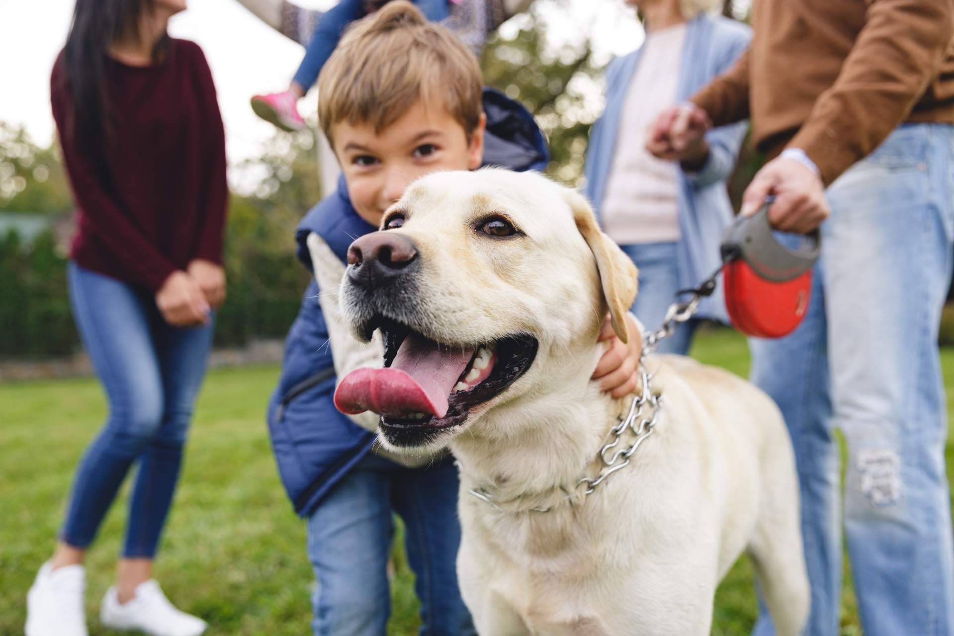El seguro veterinario de Barkibu ayuda a evitar facturas inesperadas en la visita al veterinario