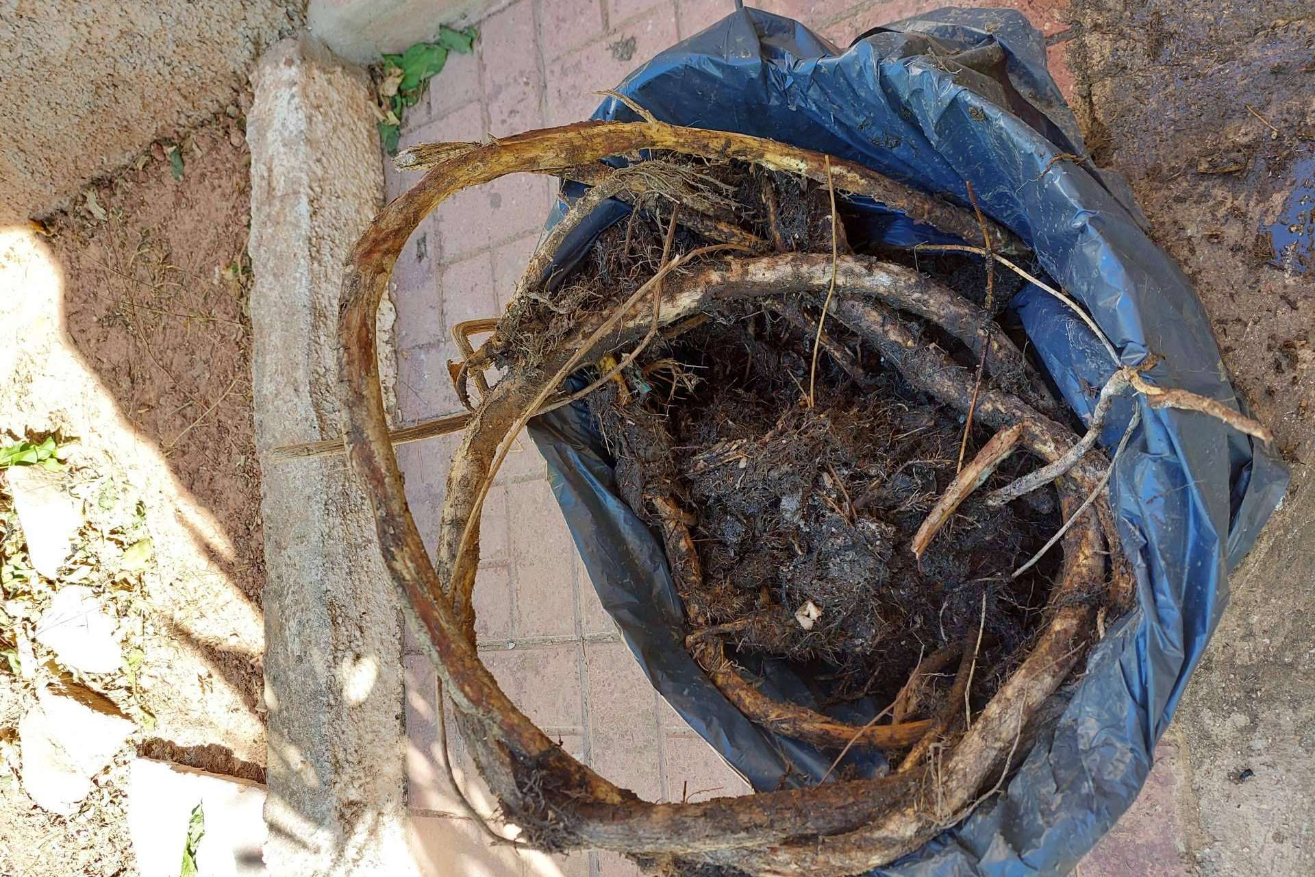 Eliminación de raíces en saneamiento, con Rey Tuberías