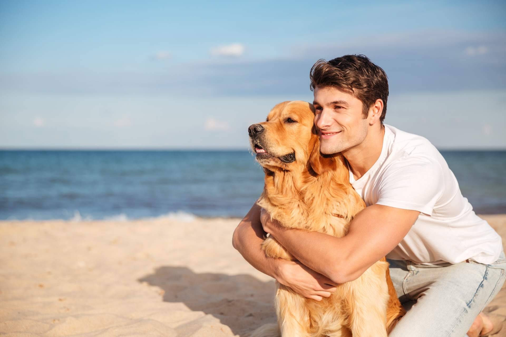 Wolves Legacy y la legendaria fórmula que los perros devoran, piensos para perros
