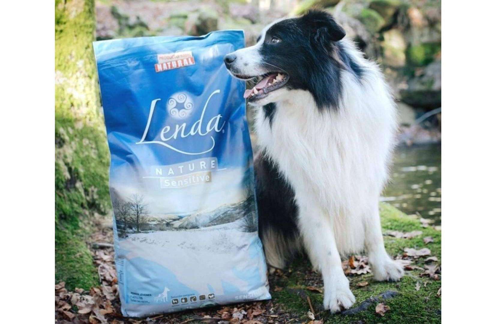 Comida con ingredientes 100 % naturales para perros con Lenda