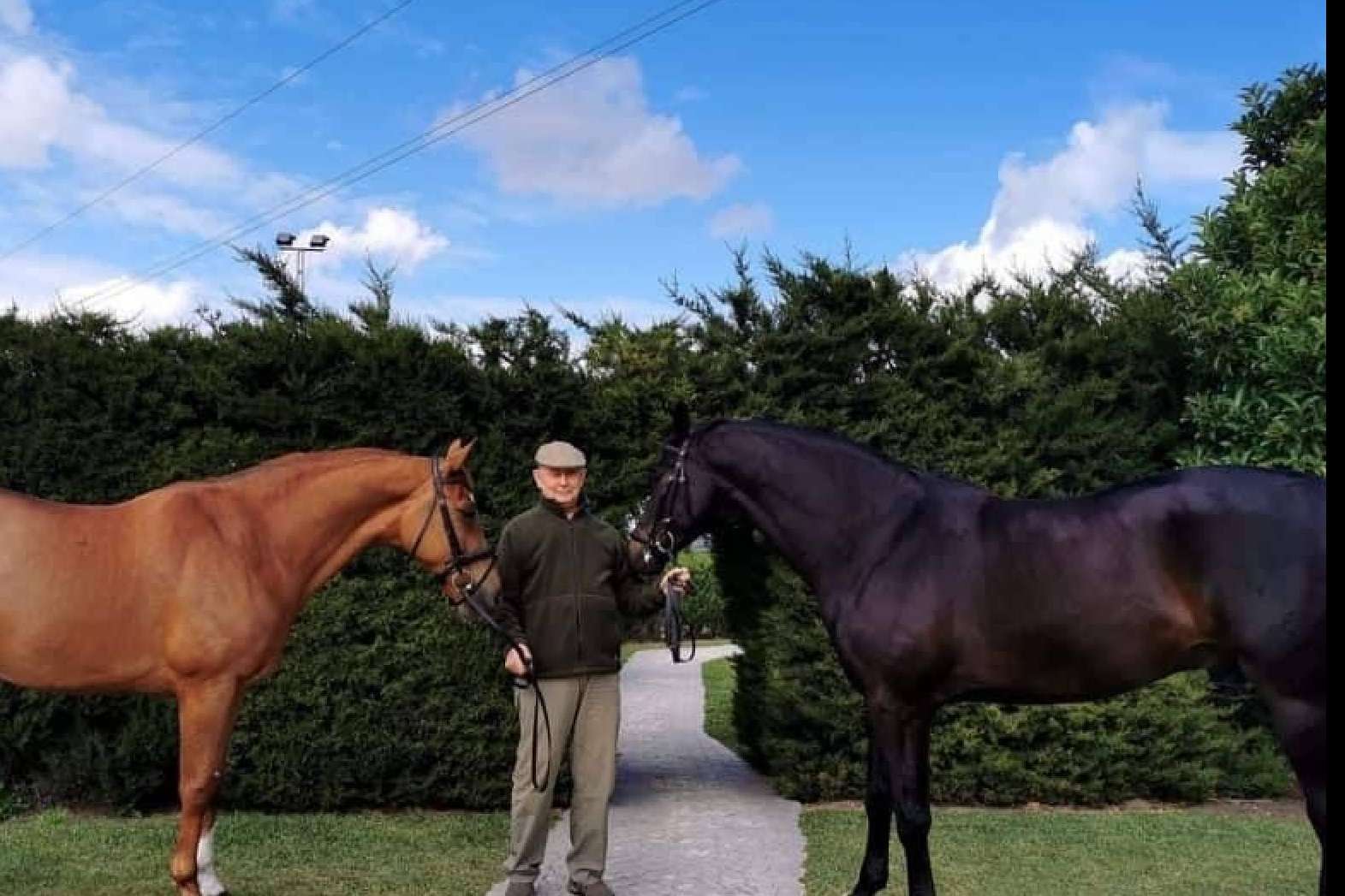 Yeguada Encinasola, el centro donde cuidar de la salud tanto de jinetes como de caballos