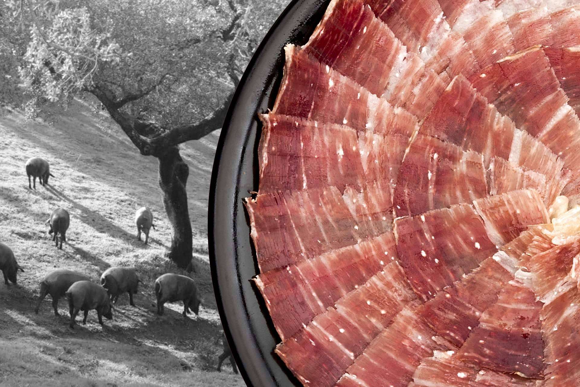 Segundín, el gourmet ibérico artesanal, ofrece jamones y paletas ibéricas