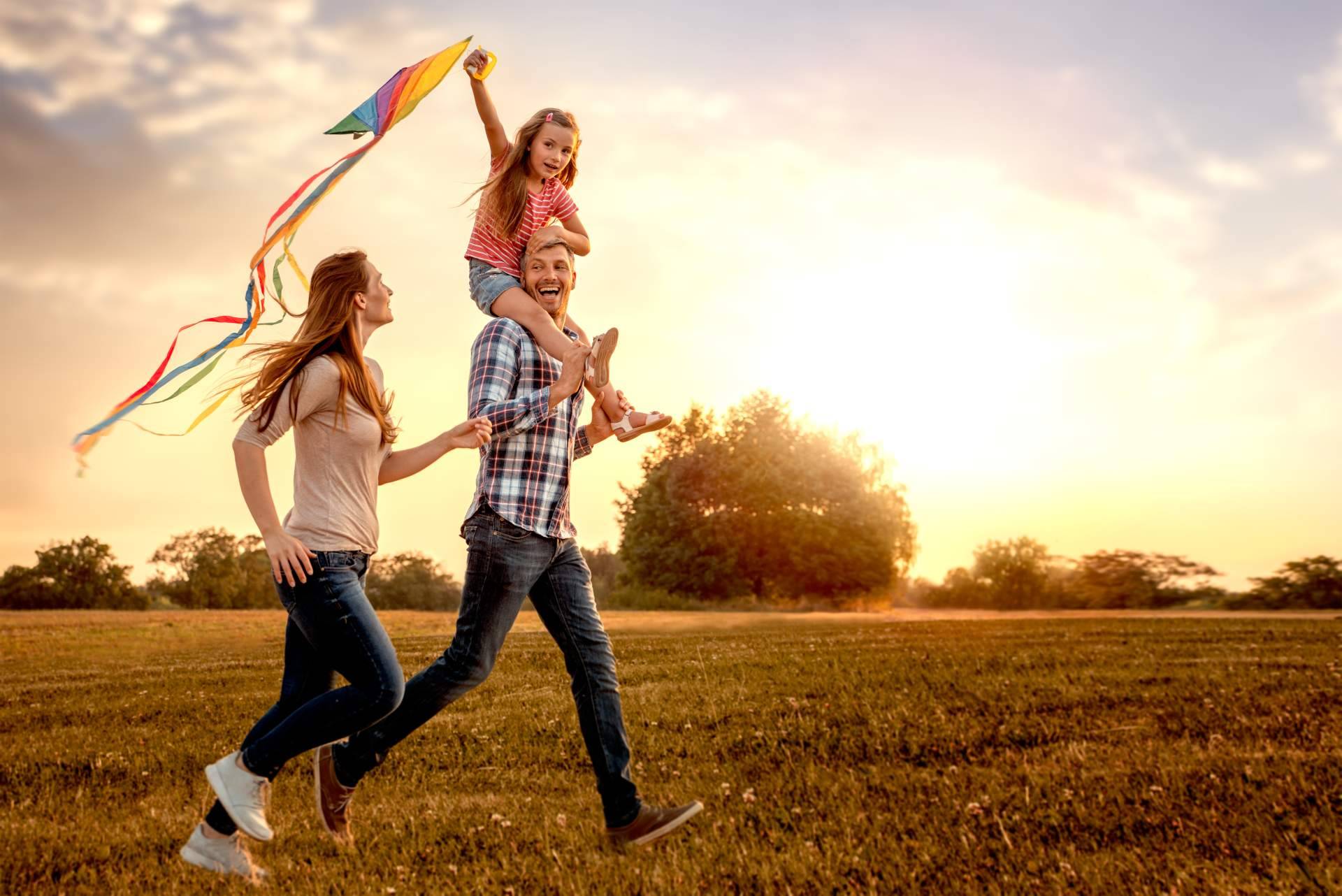 Disfrutar de diversas actividades multiaventura en Grajera Aventura