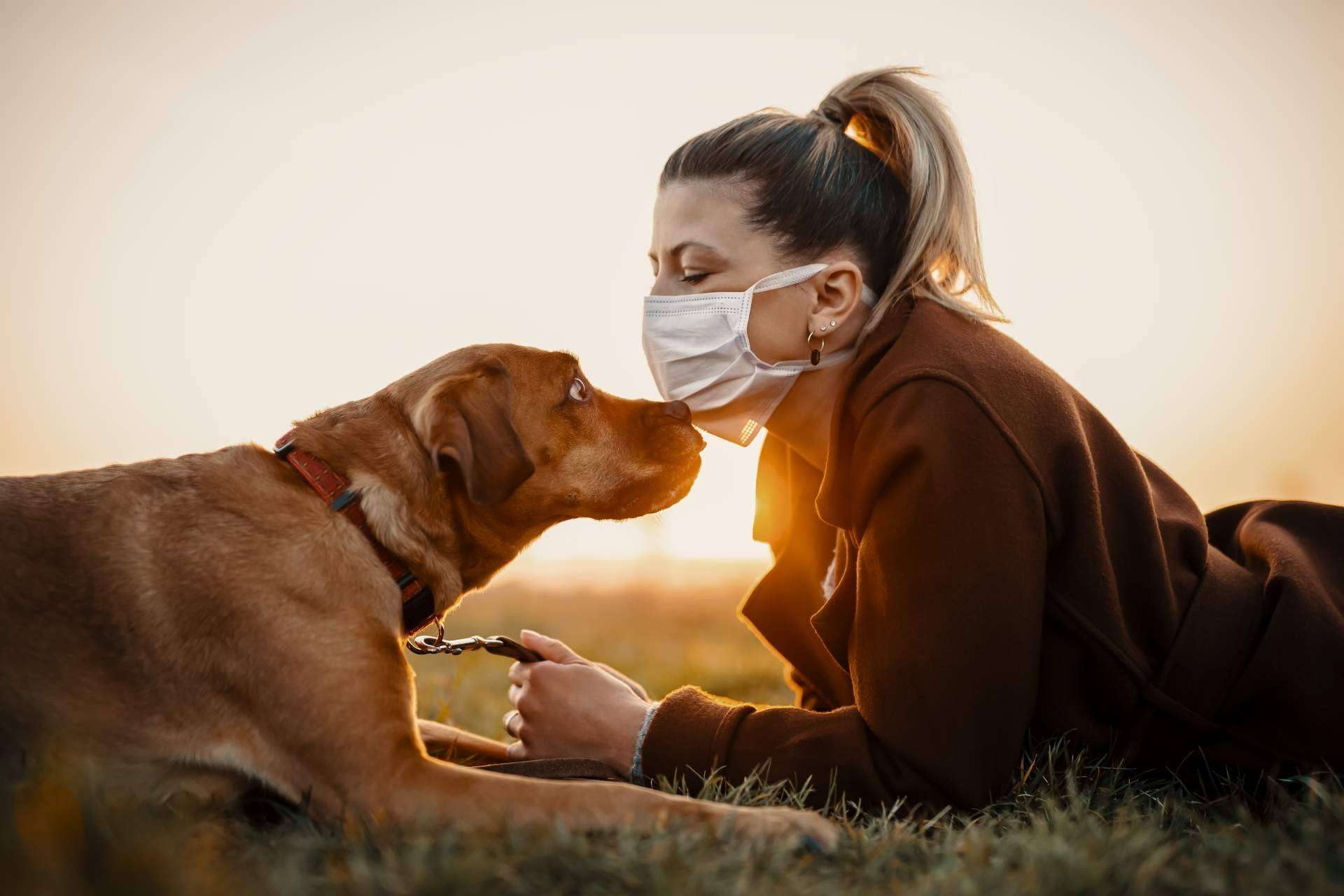 Aboganimal comenta de qué manera convertirse en un referente de la protección animal