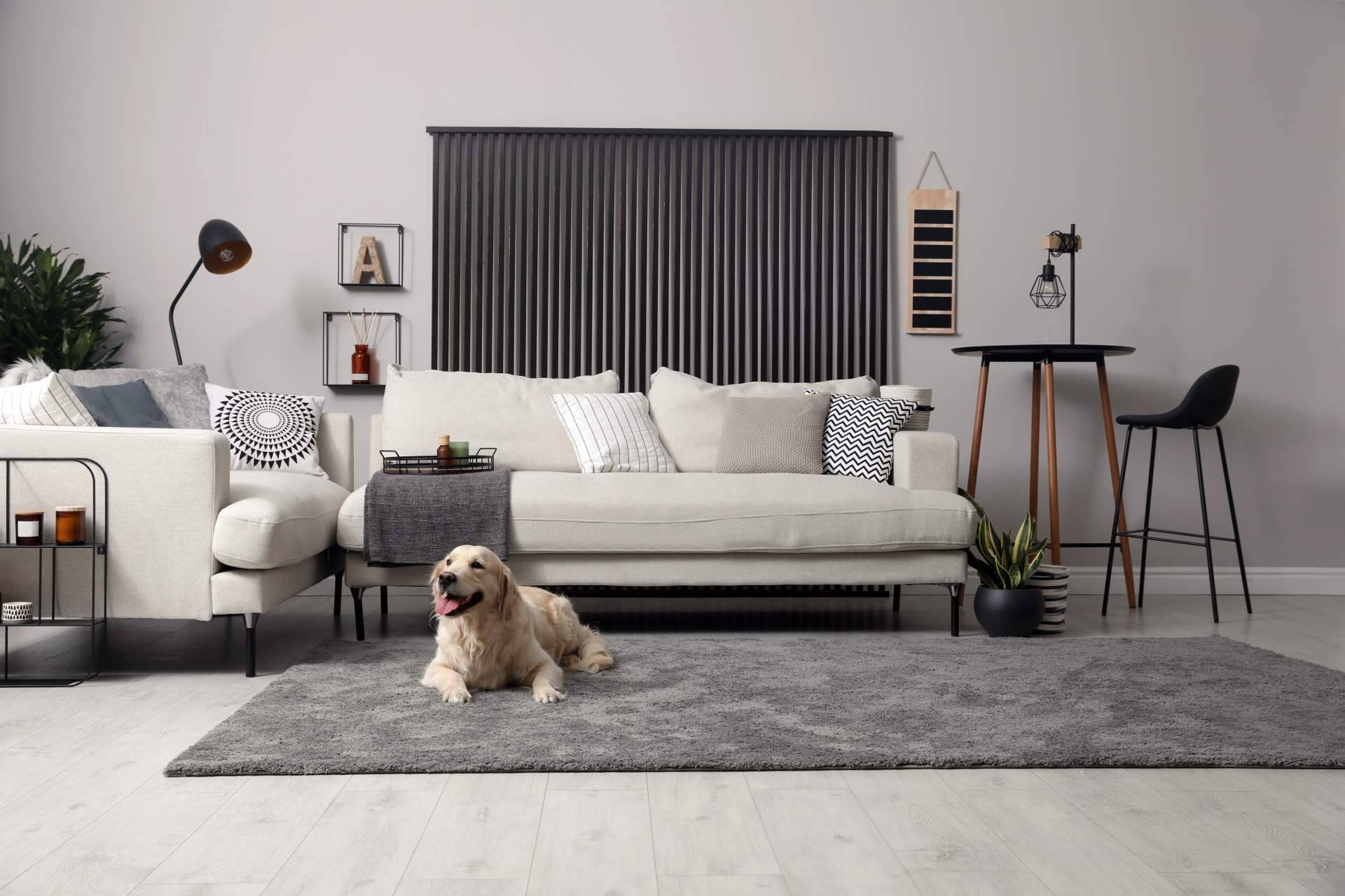 Los beneficios de decorar una casa con alfombras