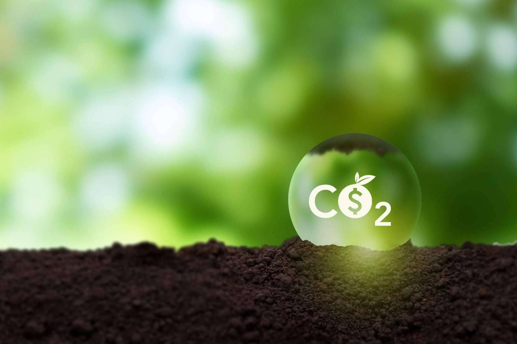 Comprar bonos de carbono en el marketplace ClimateTrade