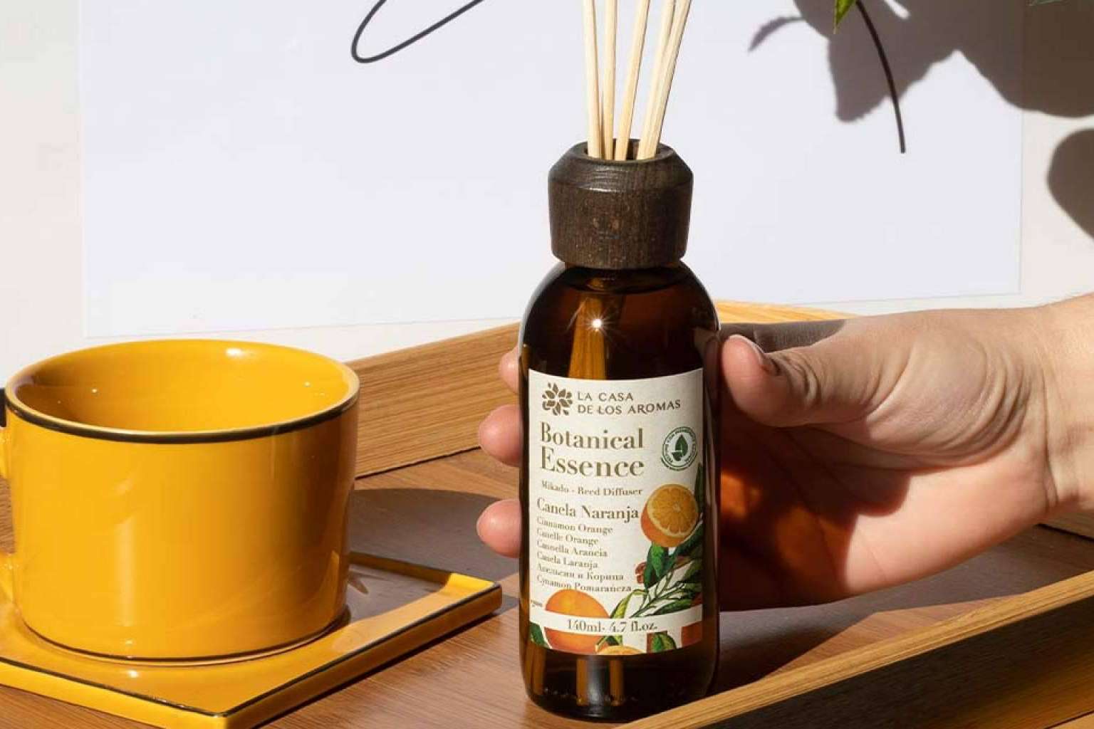 Iniciar con buen pie el 2023 con aromas y propiedades estimulantes y energizantes de La Casa de los Aromas