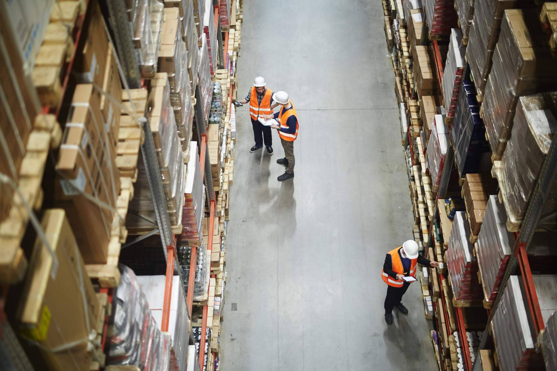 Terra Logistika y sus servicios logísticos y almacenaje