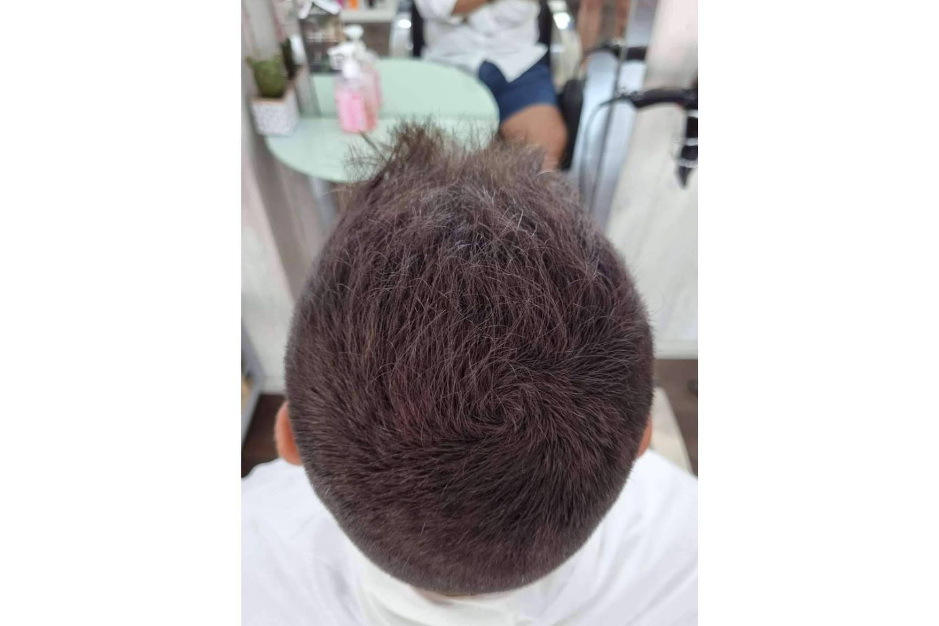 ¿Qué son las fibras capilares?, explicado por Lion Hair