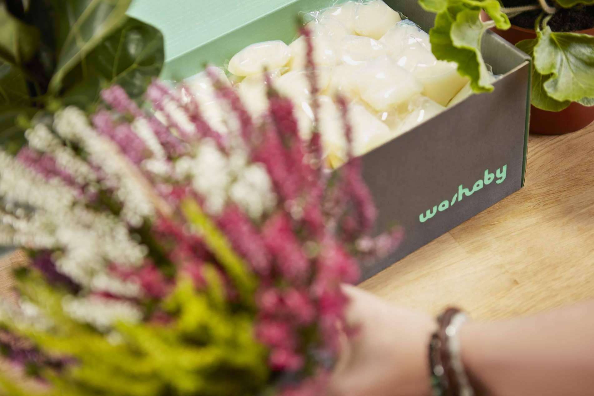 Washaby apuesta por el lavado eco con su detergente ecológico