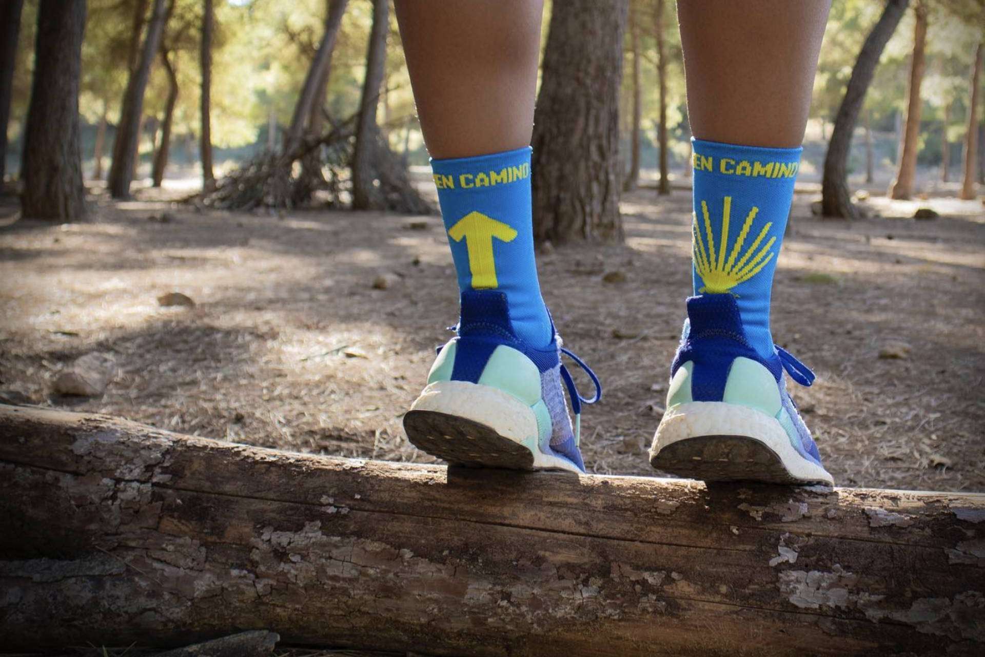 Las claves de los calcetines de trekking y senderismo de Perro Loco