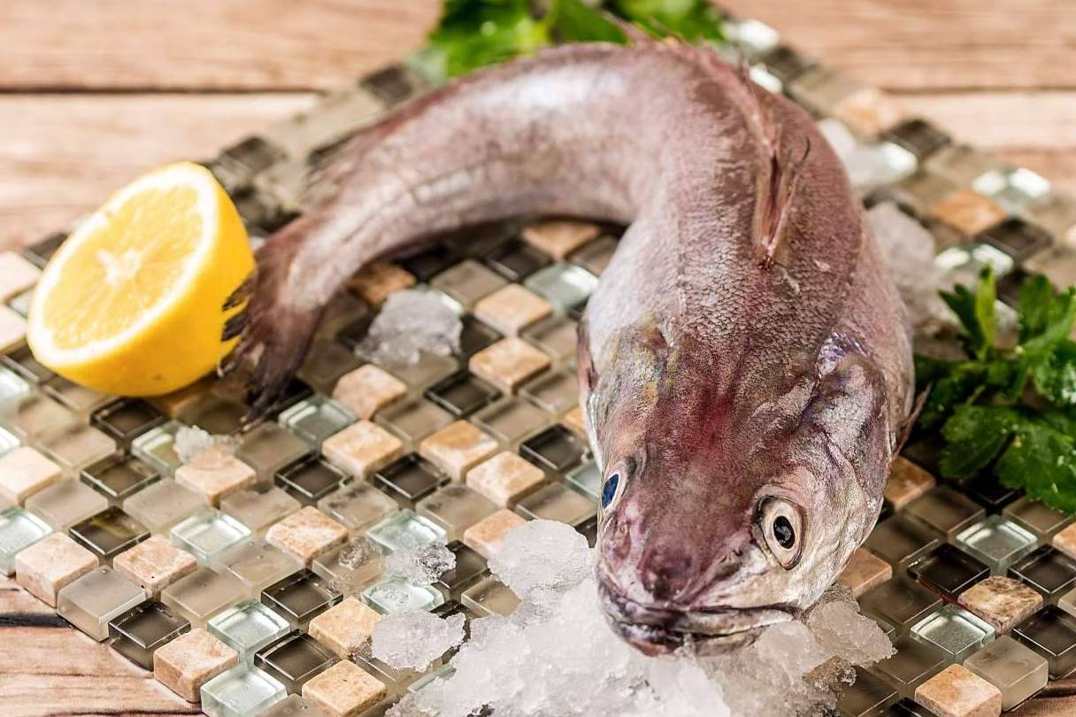 Las últimas novedades del pescado de lonja de Lonja de Ayamonte