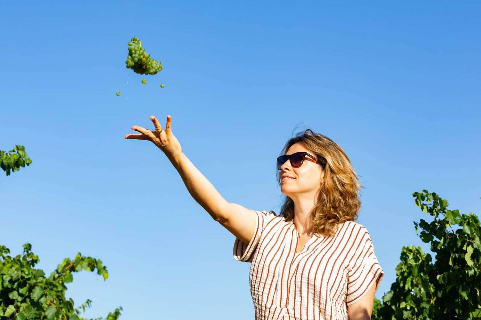 El Lagar de Moha, una bodega familiar de vinos ecológicos