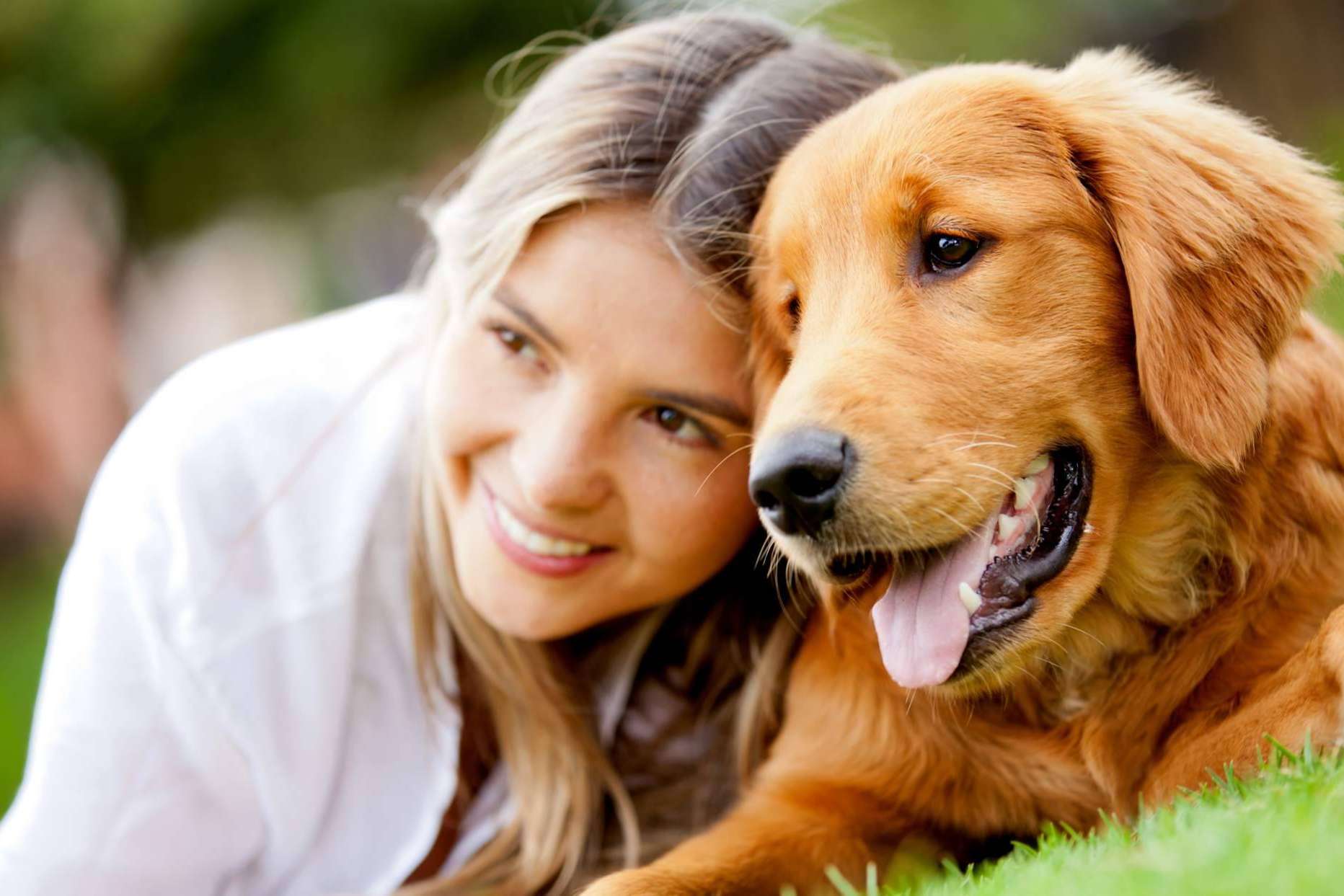 ¿Cuál es la época del año en la que se recogen más animales?