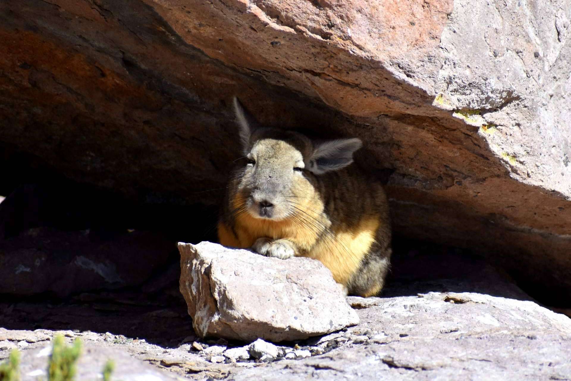 ¿Cómo descubrir los rincones más impresionantes de Chile? Mayuru Tour