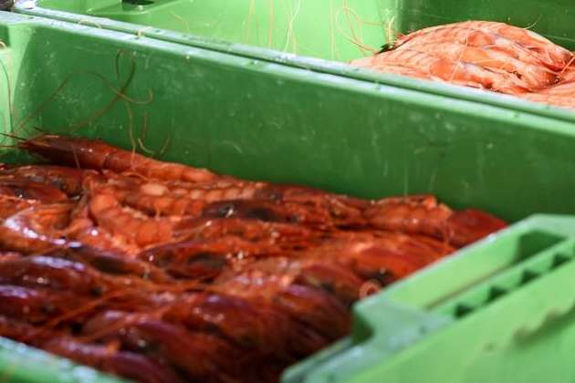 Cuál es la diferencia entre gamba y langostino