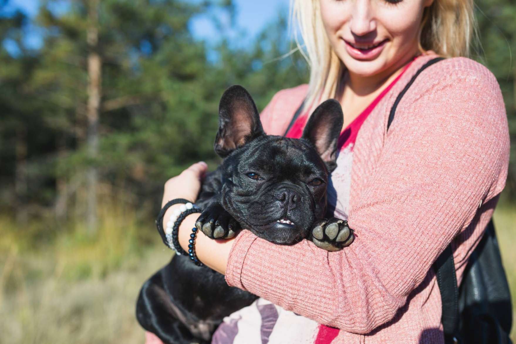 El proyecto especializado en encontrar criadores caninos fiables de perros de raza pequeña, Maltés Lovers