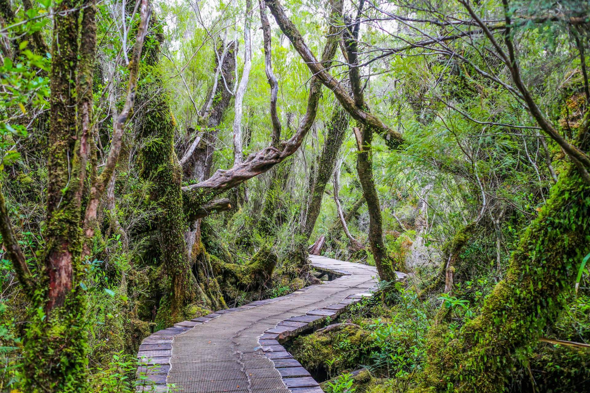 Chiloé y su desarrollo como la isla más grande al sur de Chile