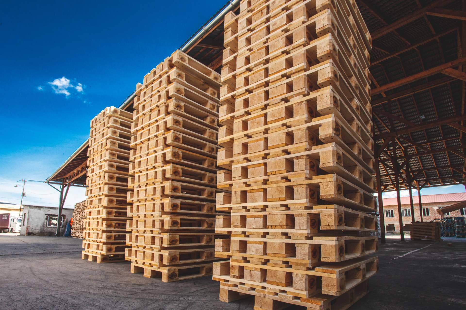 FAEMPAL ofrece palets de madera eco-friendly que impulsan el crecimiento sostenible en el sector logístico