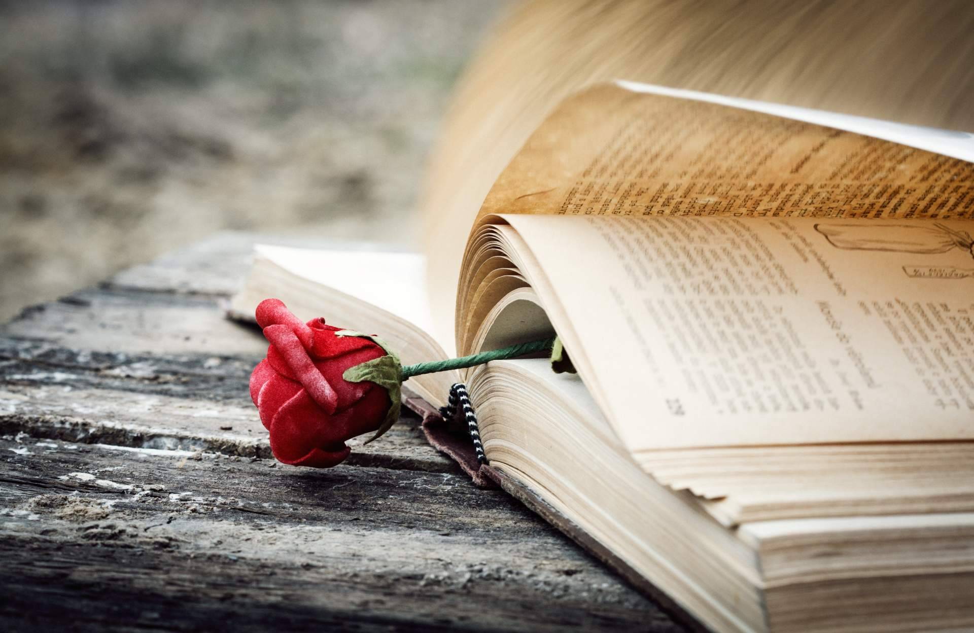 Sant Jordi, ¿cómo nació la tradición catalana de las rosas y los libros?