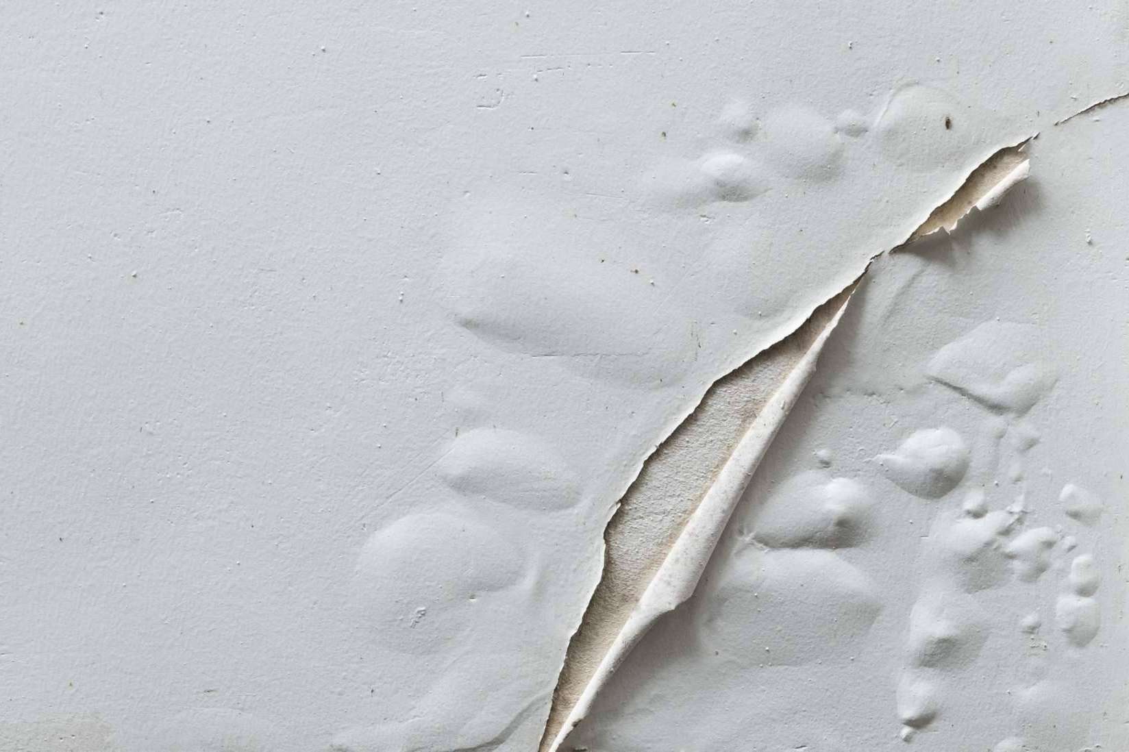 Preactiva ofrece un servicio especializado en quitar la humedad de la pared