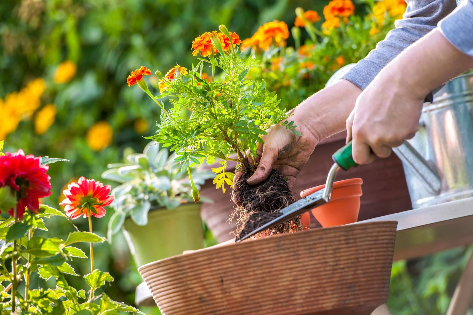 Accesorios para jardín innovadores, sostenibles y funcionales con Nova Guada