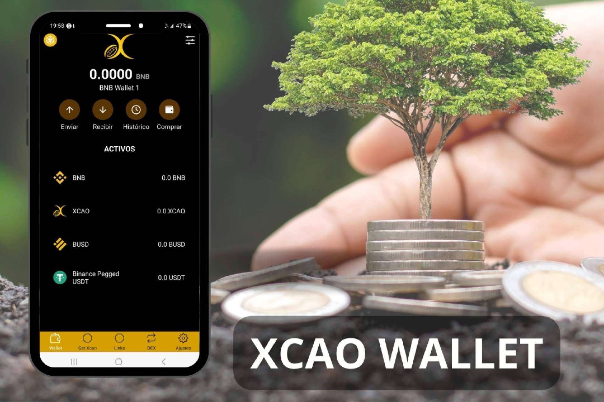 Xcao System Group ha creado el activo digital NFTS Xcao